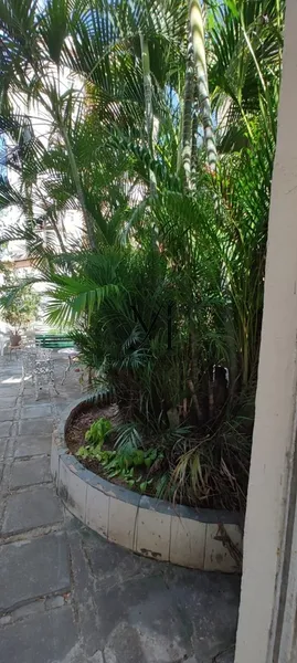 Casa, Bairro de Fátima, Fortaleza - Ceará: 57ª foto da galeria de imagens do imóvel