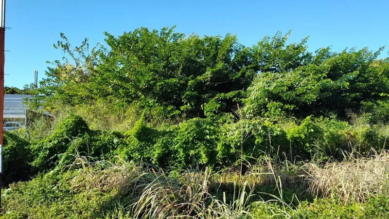 Terreno para alugar na CE 040.: 1ª foto da galeria de imagens do imóvel