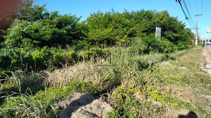 Terreno para alugar na CE 040.: 2ª foto da galeria de imagens do imóvel