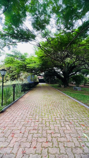 Chácara com 5.049 m² no Cond. Tibaia de São Fernando I em São Carlos.: 14ª foto da galeria de imagens do imóvel