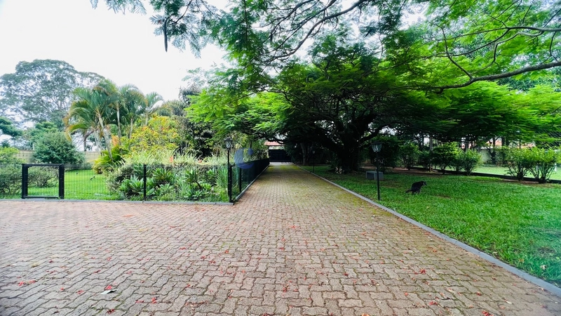 Chácara com 5.049 m² no Cond. Tibaia de São Fernando I em São Carlos.: 11ª foto da galeria de imagens do imóvel