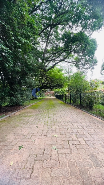 Chácara com 5.049 m² no Cond. Tibaia de São Fernando I em São Carlos.: 4ª foto da galeria de imagens do imóvel