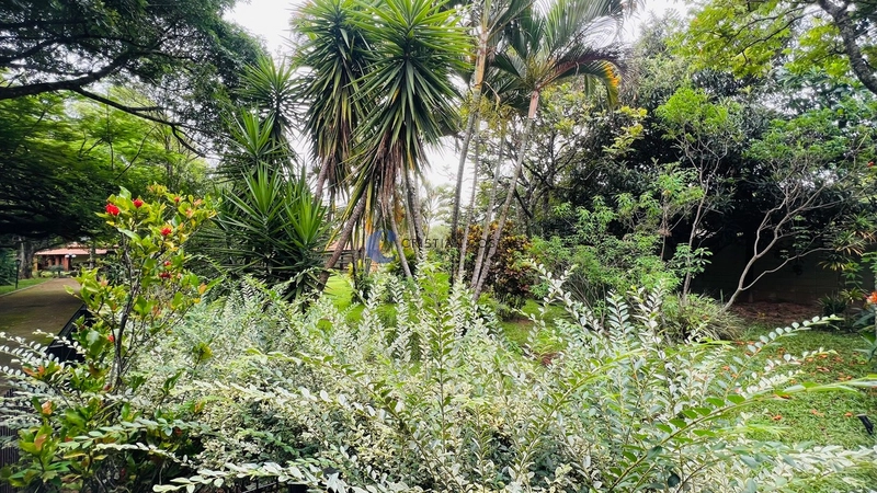 Chácara com 5.049 m² no Cond. Tibaia de São Fernando I em São Carlos.: 3ª foto da galeria de imagens do imóvel