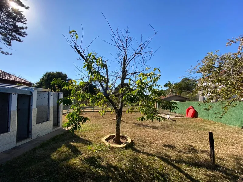 CHÁCARA COM 3.536 M² NO JARDIM TANGARAS EM SÃO CARLOS/SP: 10ª foto da galeria de imagens do imóvel