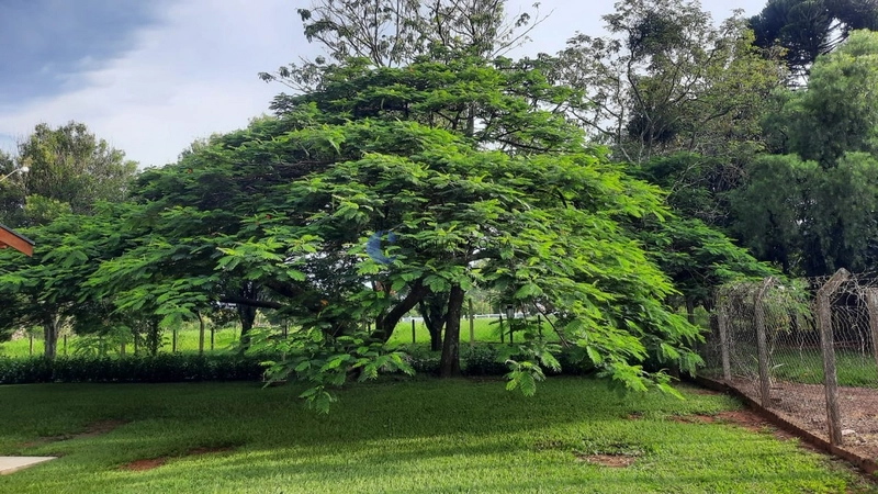 Chácara de 5.900 m² no Condomínio Parque Itaipu em São Carlos/SP: 7ª foto da galeria de imagens do imóvel