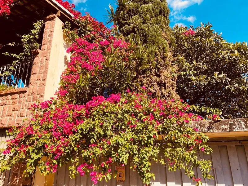 CASA COM 3 DORMITÓRIOS NO CENTRO DE SÃO CARLOS/SP: 2ª foto da galeria de imagens do imóvel