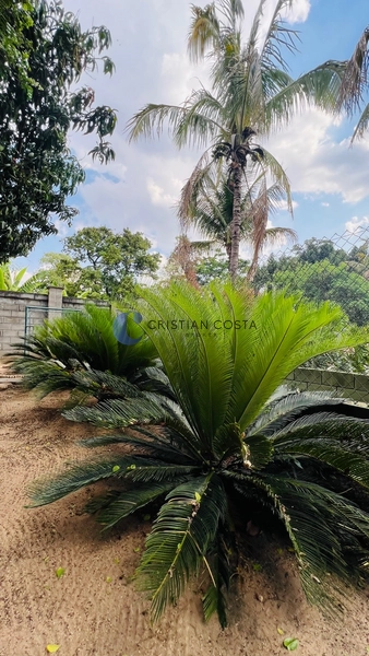 Chácara 6.575 m² no cond. Tibaia de São Fernando II em São Carlos/SP: 60ª foto da galeria de imagens do imóvel