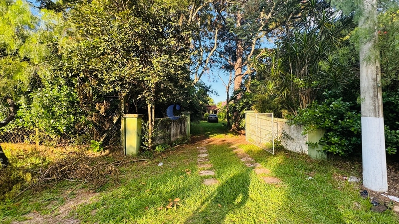 Chácara de 5000m² no Varjão em São Carlos/SP.: 6ª foto da galeria de imagens do imóvel