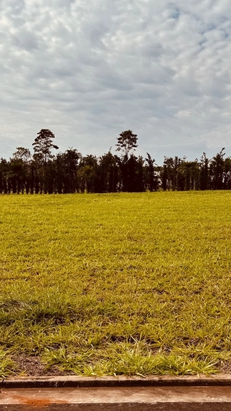 Terreno de 1406 mts no Residencial Damha Golf em São Carlos/SP.: 5ª foto da galeria de imagens do imóvel