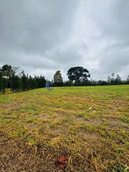 Terreno de 1430m² no Condomínio Damha Golf em São Carlos/SP: 4ª foto da galeria de imagens do imóvel