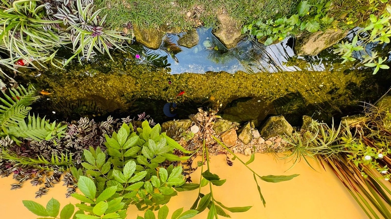 Sobrado de 4 suítes no Condomínio Swiss Park em São Carlos/SP: 24ª foto da galeria de imagens do imóvel