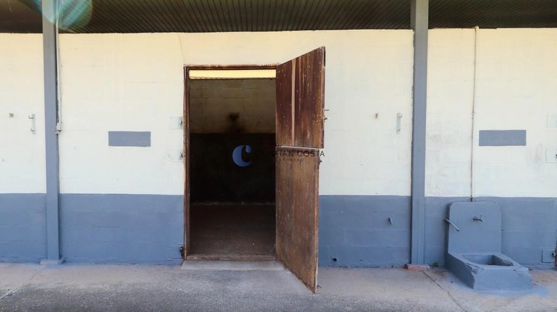 Haras de 21,43 alqueires em Porto Feliz/SP.: 15ª foto da galeria de imagens do imóvel