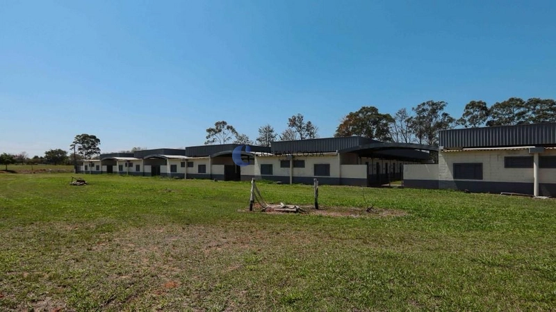 Haras de 21,43 alqueires em Porto Feliz/SP.: 14ª foto da galeria de imagens do imóvel
