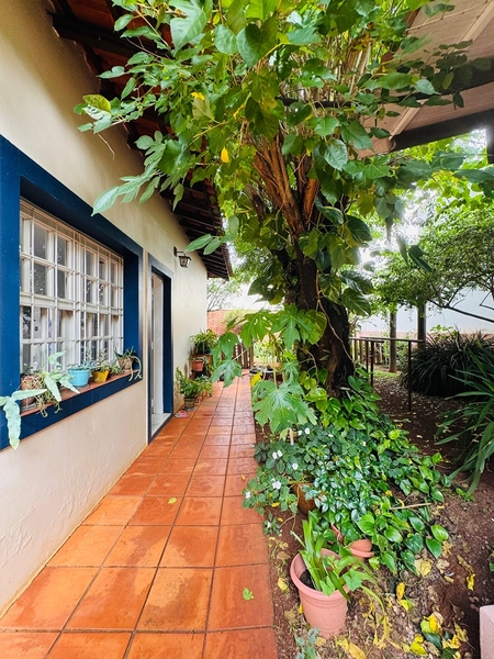 Casa de 4 Dormitórios no Parque Santa Marta em São Carlos/SP.: 44ª foto da galeria de imagens do imóvel