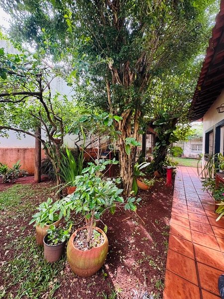 Casa de 4 Dormitórios no Parque Santa Marta em São Carlos/SP.: 41ª foto da galeria de imagens do imóvel