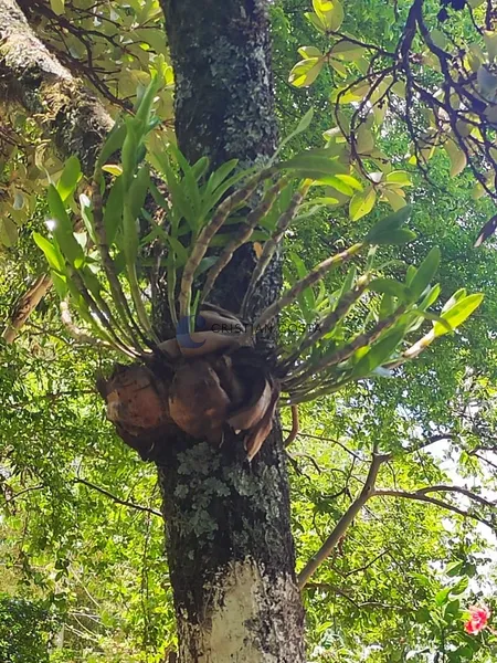 CHÁCARA DE 900 M² NA REPRESA DO BROA EM ITIRAPINA/SP: 22ª foto da galeria de imagens do imóvel