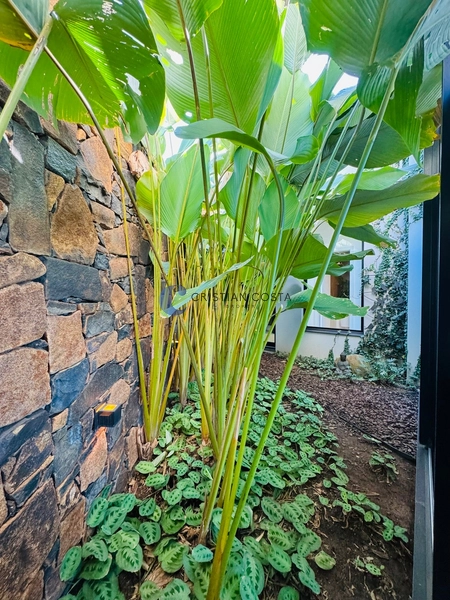 Sobrado de 2 suítes no Condomínio Village Damha IV em São Carlos/SP.: 11ª foto da galeria de imagens do imóvel