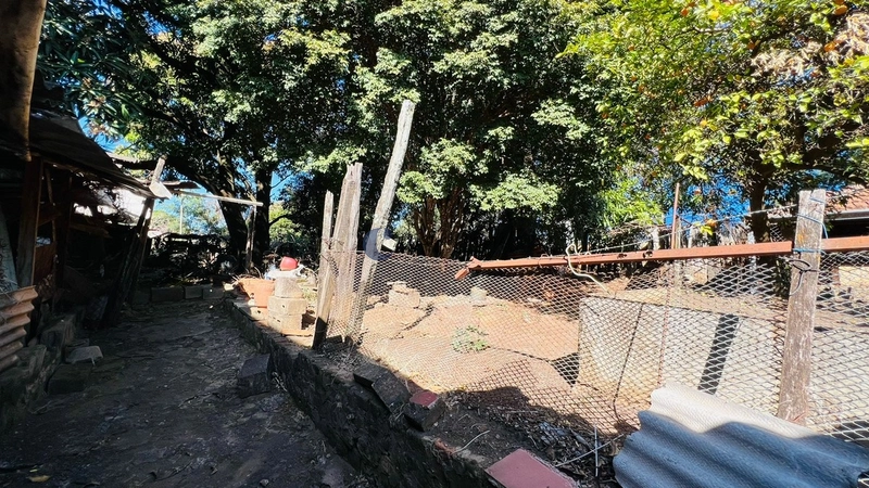 Casa com 1.200 m² de área de terreno no JD Paulista em São Carlos/SP: 7ª foto da galeria de imagens do imóvel