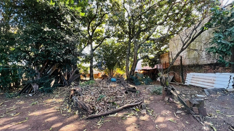 Casa com 1.200 m² de área de terreno no JD Paulista em São Carlos/SP: 15ª foto da galeria de imagens do imóvel