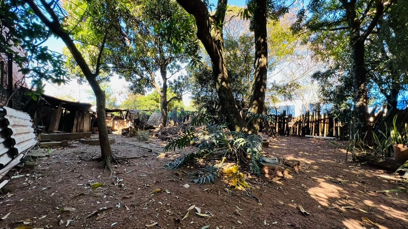 Casa com 1.200 m² de área de terreno no JD Paulista em São Carlos/SP: 17ª foto da galeria de imagens do imóvel