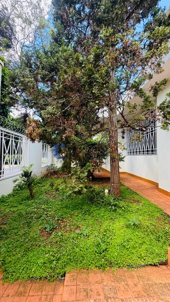 Casa de 5 dormitórios no Parque Santa Mônica em São Carlos/SP.: 2ª foto da galeria de imagens do imóvel