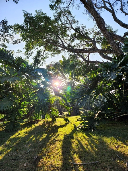 Chácara de 5.520m² com 4 Suítes no Condomínio Parque Itaipú em São Carlos/SP.: 36ª foto da galeria de imagens do imóvel