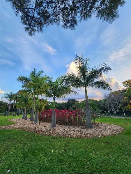 Chácara de 5.520m² com 4 Suítes no Condomínio Parque Itaipú em São Carlos/SP.: 31ª foto da galeria de imagens do imóvel