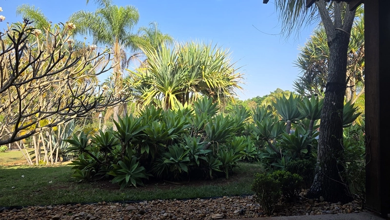 Chácara de 5.520m² com 4 Suítes no Condomínio Parque Itaipú em São Carlos/SP.: 4ª foto da galeria de imagens do imóvel