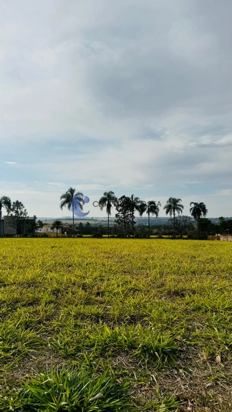 Terreno de 1.404,50m2 no Condomínio Damha Golf em São Carlos/SP.: 3ª foto da galeria de imagens do imóvel