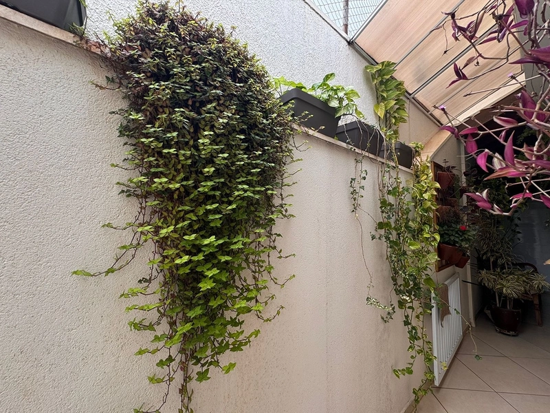 Casa de 3 Dormitórios no Jardim Cardinali em São Carlos/SP.: 18ª foto da galeria de imagens do imóvel