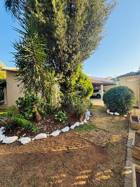 Casa de 3 Dormitórios e Piscina na Vila Brasília em São Carlos/SP,: 7ª foto da galeria de imagens do imóvel