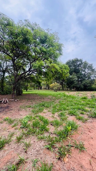 Terreno de 5000m² no Condomínio de chácaras Tibaia de São Fernando I em São Carlos/SP.: 3ª foto da galeria de imagens do imóvel