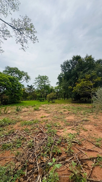 Terreno de 5000m² no Condomínio de chácaras Tibaia de São Fernando I em São Carlos/SP.: 4ª foto da galeria de imagens do imóvel