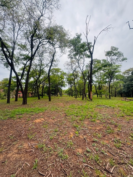 Imóvel residencial ou comercial