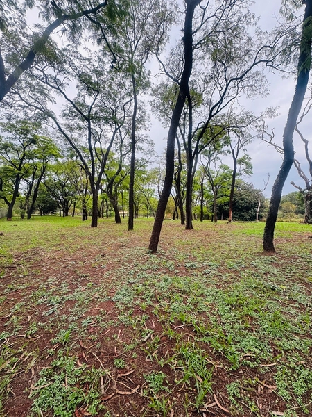 Terreno de 5000m² no Condomínio de chácaras Tibaia de São Fernando I em São Carlos/SP.: 2ª foto da galeria de imagens do imóvel