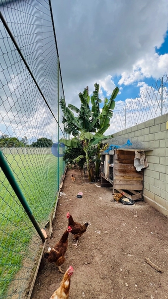 Chácara de 5.000 m² no Varjão em São Carlos/SP: 51ª foto da galeria de imagens do imóvel