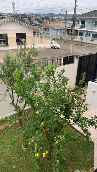 CASA SEMI MOBILIADA NA SERRA CATARINENSE: 19ª foto da galeria de imagens do imóvel