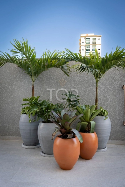APARTAMENTO PRONTO PARA MORAR NOVO EM MEIA PRAIA: 44ª foto da galeria de imagens do imóvel