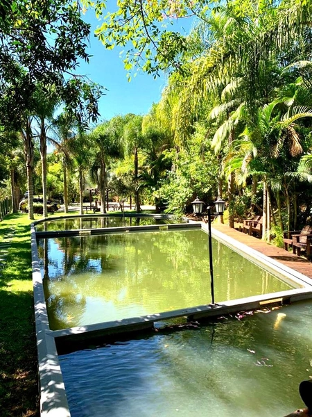 LINDO SÍTIA / ÁREA RURAL NO TIMBÉ EM TIJUCAS - SC !!!: 4ª foto da galeria de imagens do imóvel