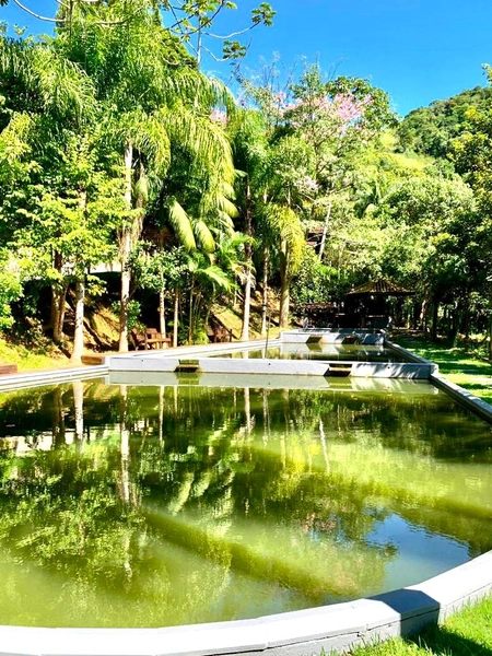 LINDO SÍTIA / ÁREA RURAL NO TIMBÉ EM TIJUCAS - SC !!!: 8ª foto da galeria de imagens do imóvel