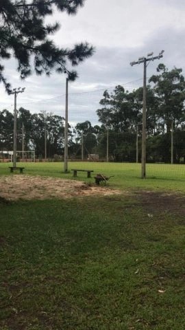 null: 5ª foto da galeria de imagens do imóvel