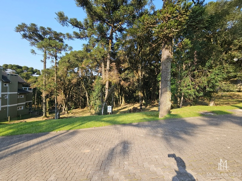 Terreno no Condomínio Altos Pinheiros em Canela: 4ª foto da galeria de imagens do imóvel