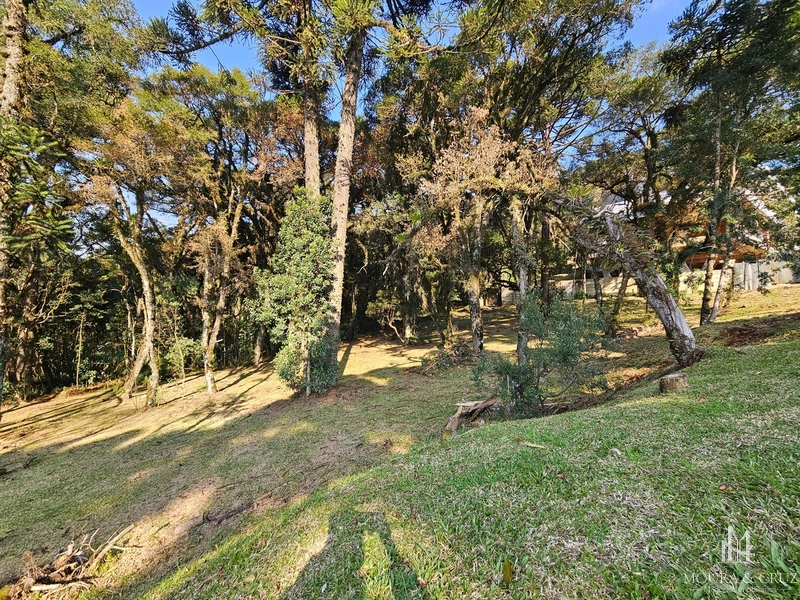 Terreno no Condomínio Altos Pinheiros em Canela: 1ª foto da galeria de imagens do imóvel