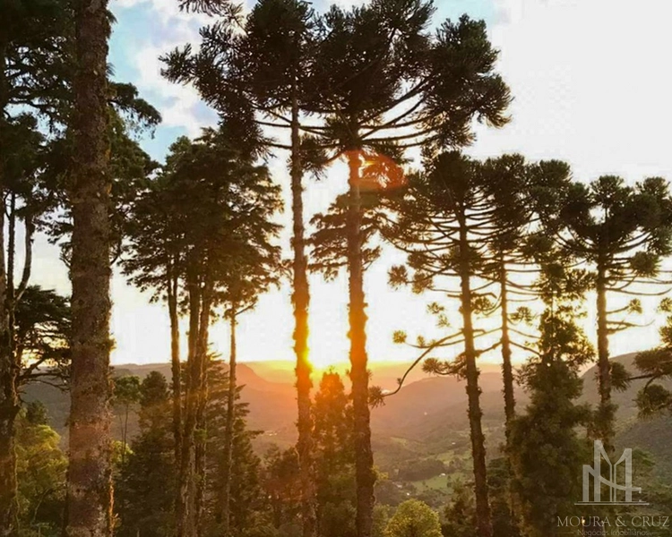 Apartamento mobiliado 2 quartos no Centro de Gramado: 9ª foto da galeria de imagens do imóvel