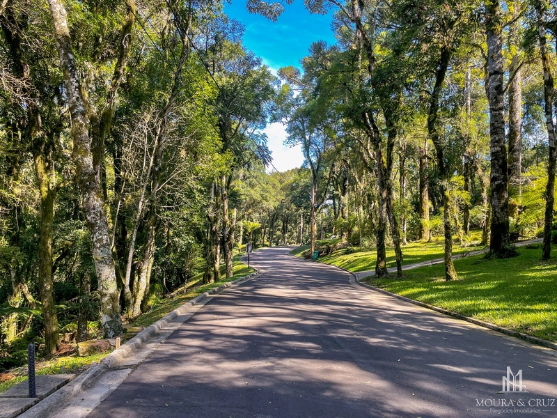 Terreno no Condomínio O Bosque em Gramado: 5ª foto da galeria de imagens do imóvel