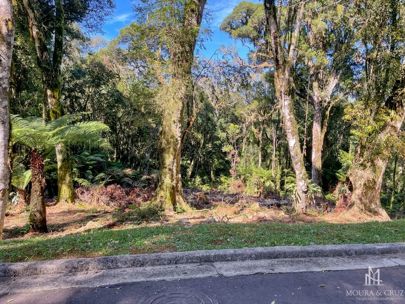 Terreno no Condomínio O Bosque em Gramado: 1ª foto da galeria de imagens do imóvel