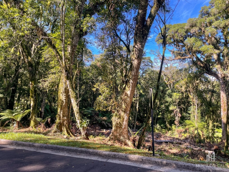 Terreno no Condomínio O Bosque em Gramado: 3ª foto da galeria de imagens do imóvel