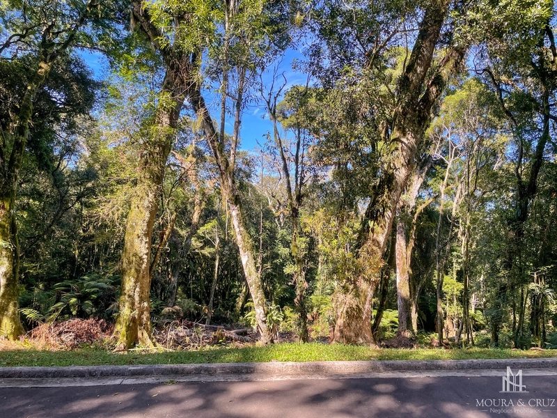 Terreno no Condomínio O Bosque em Gramado: 2ª foto da galeria de imagens do imóvel