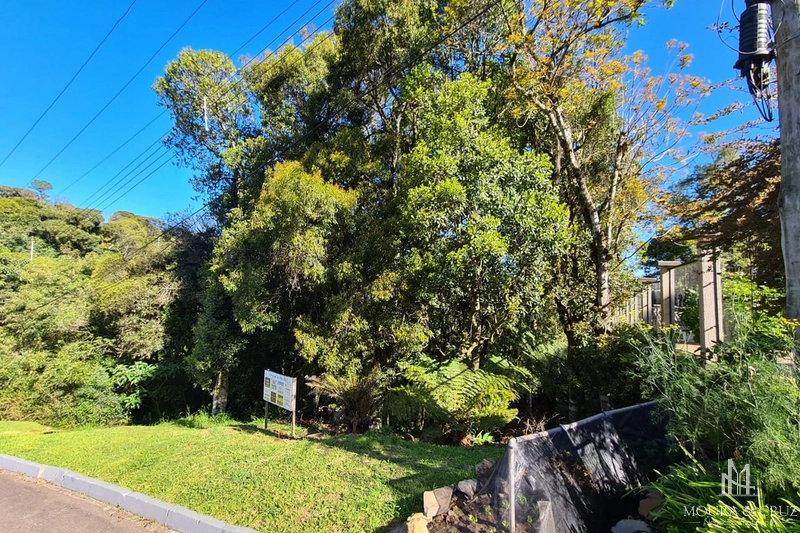 Terreno no Condomínio Lagos de Gramado: 3ª foto da galeria de imagens do imóvel