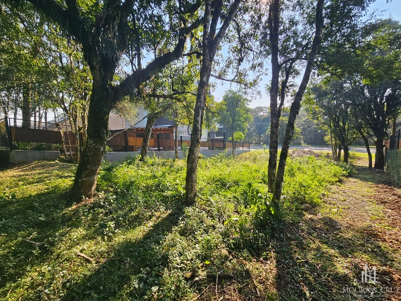 Terreno no Vivendas do Arvoredo em Gramado: 3ª foto da galeria de imagens do imóvel